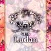 Х顦 Club Ludan(֥)