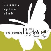 Premium　Ragdoll(/高田)