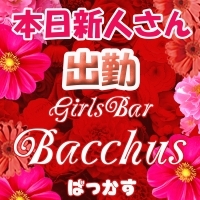 新潟駅前ガールズバーGirls Bar Bacchus新潟駅前店(バッカスエキマエテン)