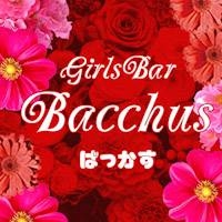 Girls Bar Bacchus新潟駅前店(/新潟駅前)