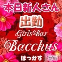 Girls Bar BacchusŹ(ʥå륺С/)