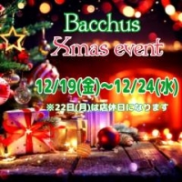 Girls Bar Bacchus�������Ź