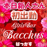 Girls Bar Bacchus�������Ź(���ʥå��������륺�С�/�������)