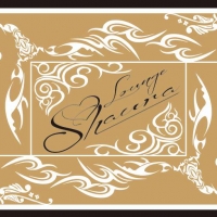 ƲХ顦Lounge Shaura(饦 㥦)