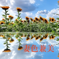 㡦ȯĥꥢ󥺥ƺʿ Ź   (祯ӡ˥奦ƥ)