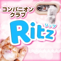 ȯѥ˥󥯥Ritz(å)