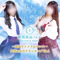 新潟風俗Noel-ノエル-