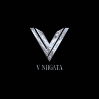 V-niigata-