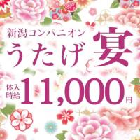 新潟お色気コンパニオン うたげ 店舗の小バナー