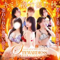 新潟ソープスチュワーデス