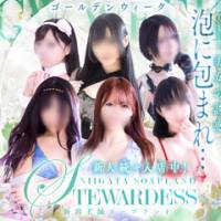 新潟ソープ スチュワーデスのナイトナビ割引