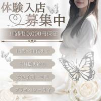 美女図鑑 長岡店 店舗の小バナー