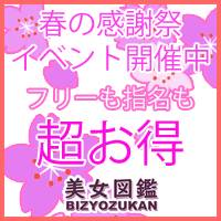 長岡デリヘル 美女図鑑 長岡店(ビジョズカンナガオカテン)のナイトナビ割引