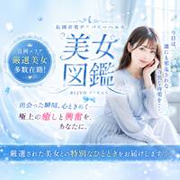 長岡デリヘル美女図鑑 長岡店(ビジョズカンナガオカテン)