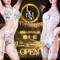 新潟デリヘル La Muse(ラミューズ)のナイトナビ割引