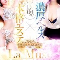 新潟デリヘル La Muse(ラミューズ)のナイトナビ割引