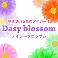 新潟デリヘルDaisy blossom　(デイジー ブロッサム)