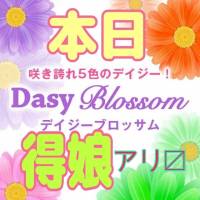 新潟デリヘル Daisy blossom　(デイジー ブロッサム)のナイトナビ割引