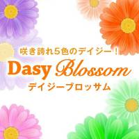 新潟デリヘルDaisy blossom　(デイジー ブロッサム)