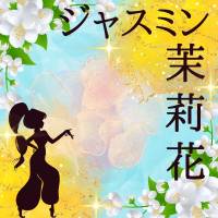 新潟デリヘルジャスミン