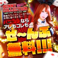 新潟ソープ 新潟バニーコレクション(ニイガタバニーコレクション)のナイトナビ割引
