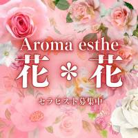 新潟メンズエステ花＊花(ハナハナ)