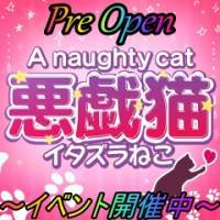三条デリヘルA naughty cat 悪戯猫(イタズラネコ)