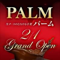 新潟手コキPALM(パーム)