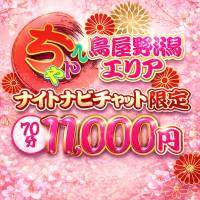 新潟デリヘル新潟市鳥屋野潟ちゃんこ(ニイガタシトヤノガタチャンコ)