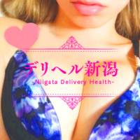 新潟デリヘル デリヘル新潟(デリヘルニイガタ)のナイトナビ割引