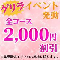 新潟デリヘル デリヘル新潟(デリヘルニイガタ)のナイトナビ割引