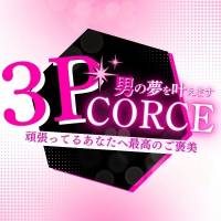 新潟デリヘル デリヘル新潟(デリヘルニイガタ)のナイトナビ割引