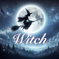 新潟デリヘル Witch(ウィッチ)のナイトナビ割引