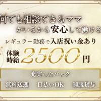 駅前スナック New KANAKO 店舗の小バナー