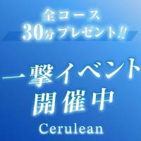 新潟デリヘル Cerulean(セルリアン)のナイトナビ割引