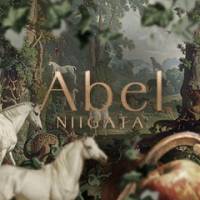 新潟デリヘル Abel-アベル-(アベル)のナイトナビ割引