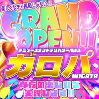 新潟デリヘルアミューズメントデリバリーヘルス  ガロパ(アミューズメントデリバリーヘルスガロパ)