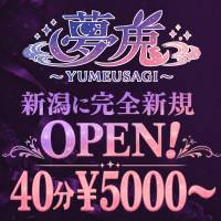夢兎～YUMEUSAGI～ 店舗の小バナー