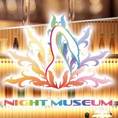 ᥹ʥå륺С NIGHT MUSEUM