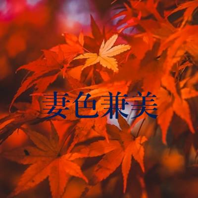 妻色兼美 新潟中央店   