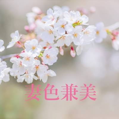 妻色兼美 新潟中央店   