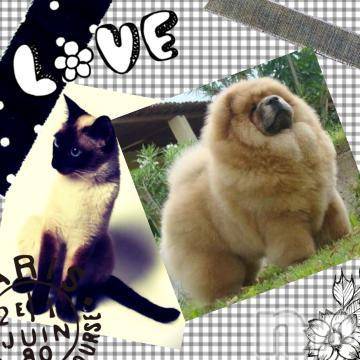 新潟デリヘル五十路マダム新潟店(カサブランカグループ)(イソジマダムニイガタテン) 椎名すみれ(54)の12月11日写メブログ「[お題]from:トットコのぶ太郎さん」