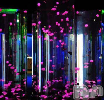 新潟デリヘル五十路マダム新潟店(カサブランカグループ)(イソジマダムニイガタテン) 椎名すみれ(54)の2月8日写メブログ「おやすみなさい★」