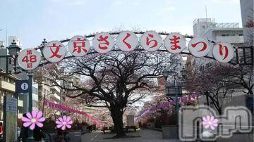 新潟デリヘル五十路マダム新潟店(カサブランカグループ)(イソジマダムニイガタテン) 椎名すみれ(54)の3月29日写メブログ「こんにちは」