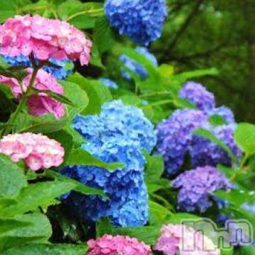 新潟デリヘル五十路マダム新潟店(カサブランカグループ)(イソジマダムニイガタテン) 椎名すみれ(54)の6月1日写メブログ「まもなく」