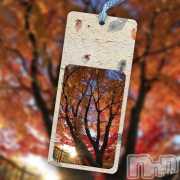 新潟デリヘル五十路マダム新潟店(カサブランカグループ)(イソジマダムニイガタテン) 椎名すみれ(54)の11月14日写メブログ「今日の私の…」