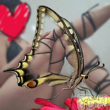 新潟デリヘル五十路マダム新潟店(カサブランカグループ)(イソジマダムニイガタテン) 椎名すみれ(54)の1月16日写メブログ「就寝タイムでございます」