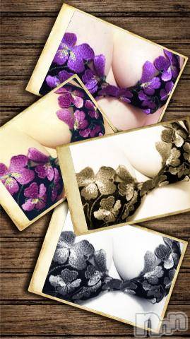 新潟デリヘル五十路マダム新潟店(カサブランカグループ)(イソジマダムニイガタテン) 椎名すみれ(54)の3月6日写メブログ「おやすみなさい」