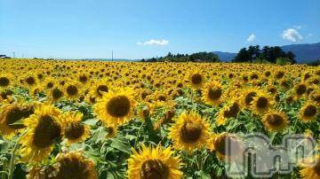 新潟デリヘル五十路マダム新潟店(カサブランカグループ)(イソジマダムニイガタテン)椎名すみれ(54)の2018年8月5日写メブログ「夏を感じて」