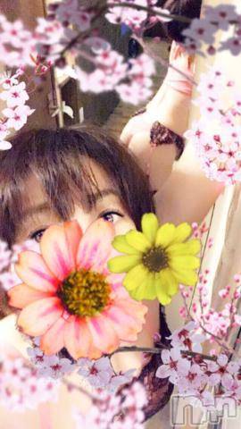 新潟デリヘル五十路マダム新潟店(カサブランカグループ)(イソジマダムニイガタテン)椎名すみれ(54)の2018年12月25日写メブログ「こんにちは」